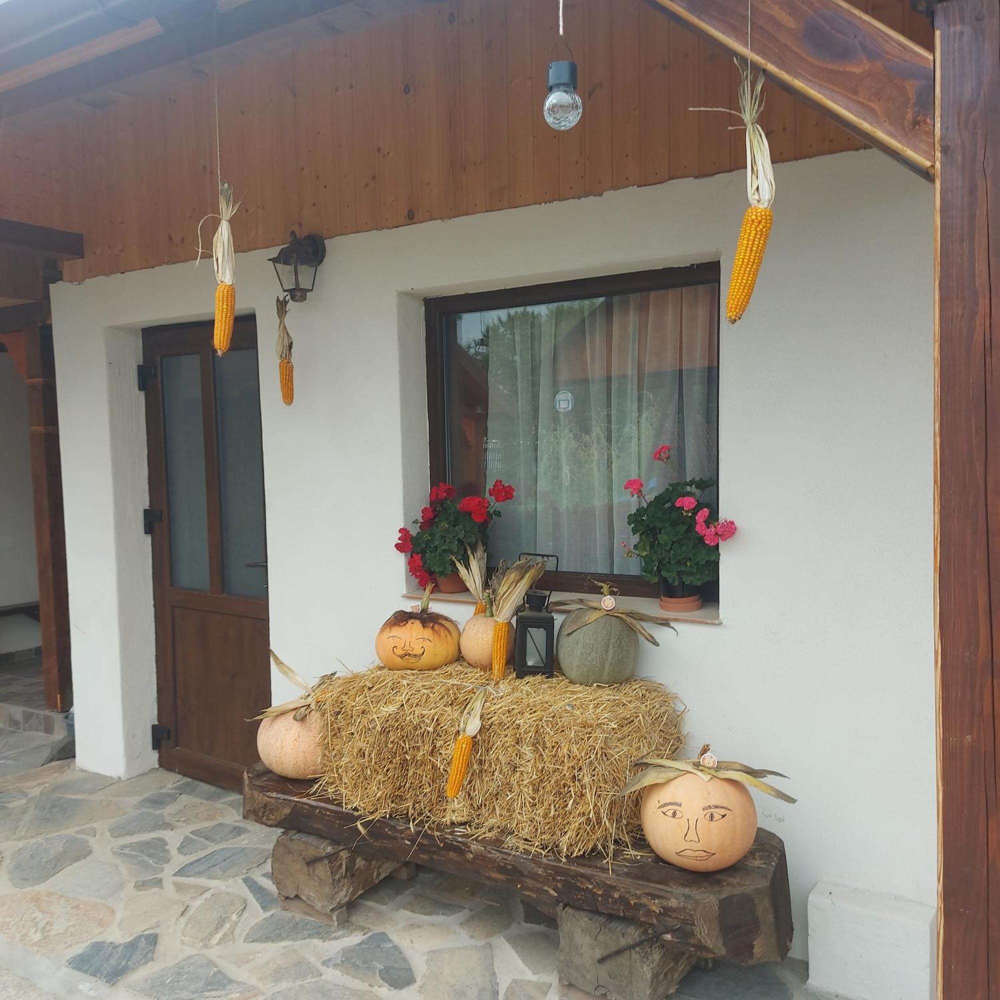 Cabana Lunca Târgu Neamţ Dış mekan fotoğraf
